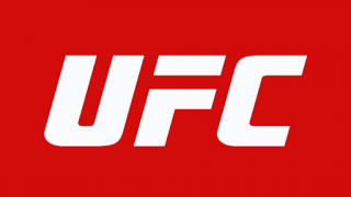 UFC Fight Night – Allen vs. Curtis 2 4/6/24